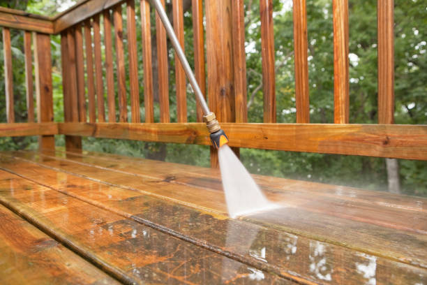 Best Gutter Cleaning  in Lake Wildwood, CA